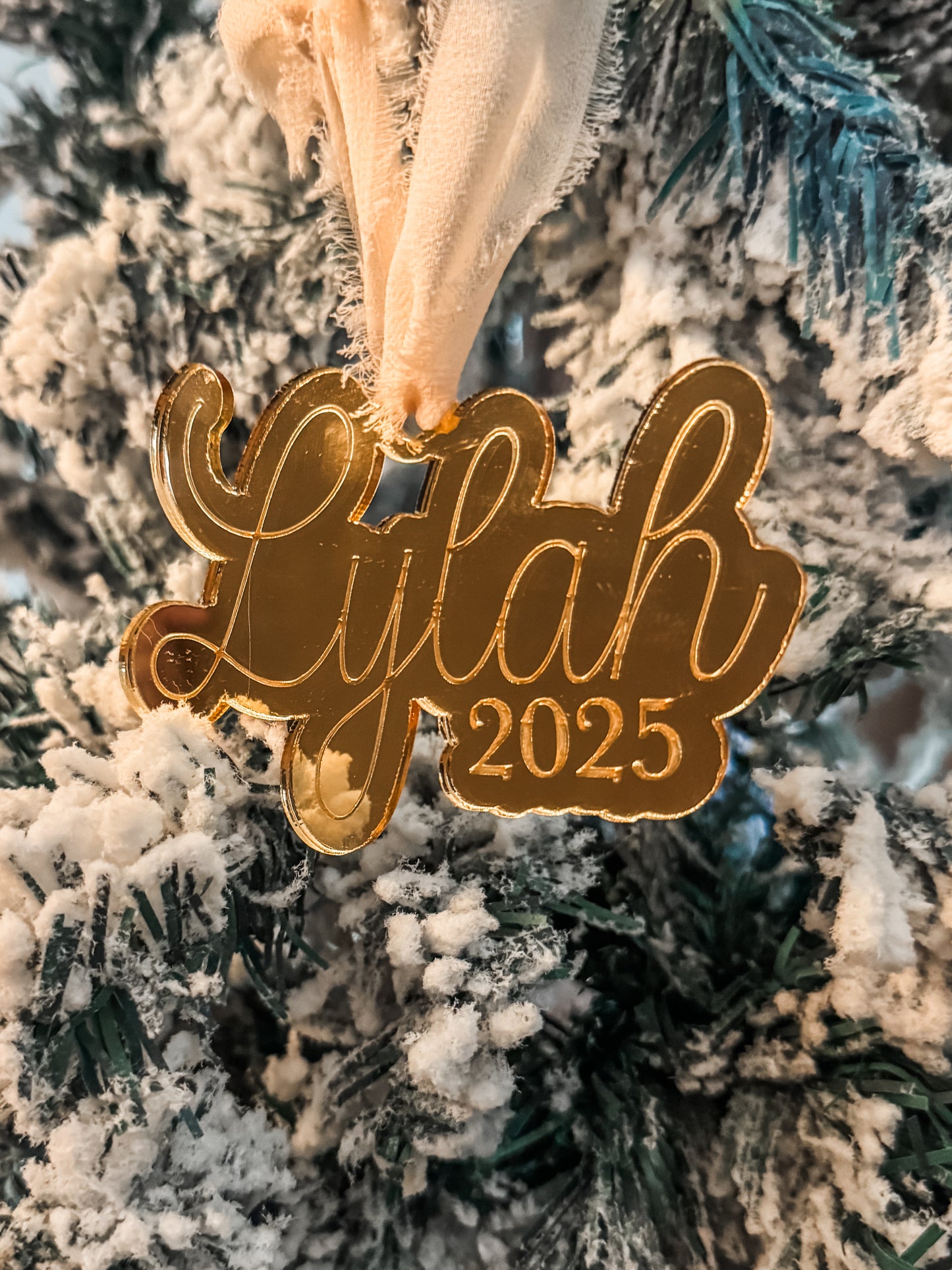 2025 Story of the Year Personalized Christmas Ornament