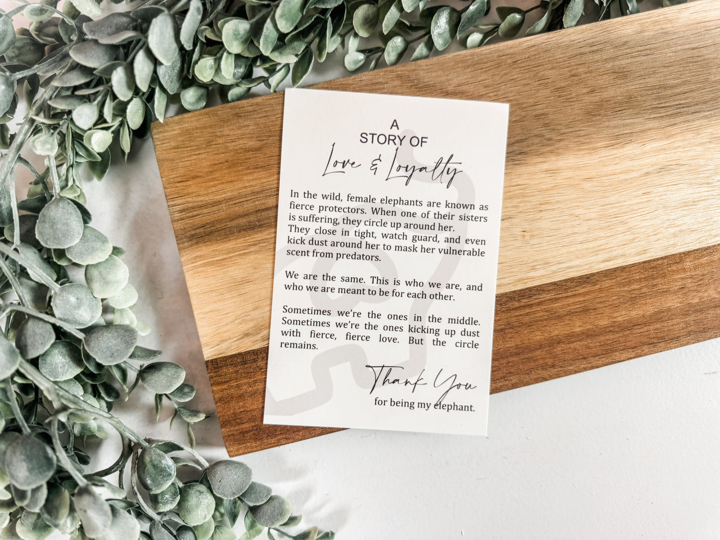 Sisterhood Story Elephant