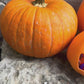Pumpkin Candy Holders – 3D Printed Halloween Decor
